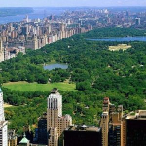 Gita a Central Park, passeggiando nel verde di New York
